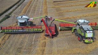 Getreideernte 2020 - Claas Lexion 770 & 780 im Großeinsatz - Lebensmittel aus der Landwirtschaft