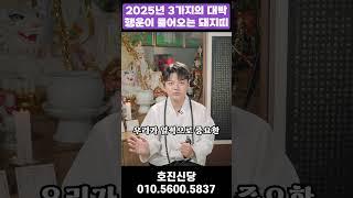 2025년 을사년 3가지 행운과 기회가 찾아오는 대박 나는 돼지띠 운세 #재물운 #운세