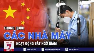 Hoạt động của các nhà máy Trung Quốc bất ngờ giảm - VNEWS