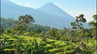 This is our Farm in El Salvador