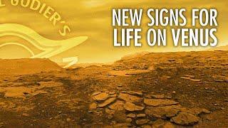 Signs For a Strange Type of Life on Venus with Dr. Janusz Petkowski