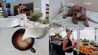 Los Angeles vlog  Sundays in Malibu, farmers market, summer try-on haul, PR unboxing, ER visit