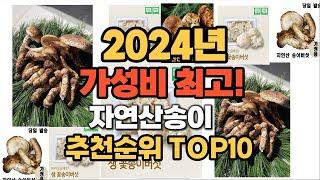 2024년 인기 최고 자연산송이 추천 TOP10