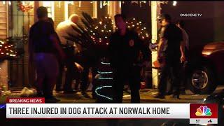 Three injured after dog attack at a Norwalk home