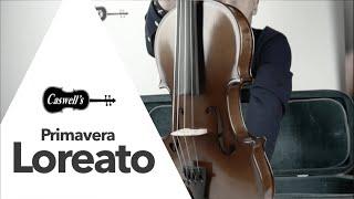 Primavera Loreato Violin