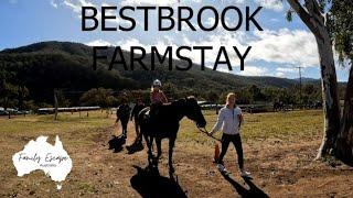 Bestbrook Farmstay Pet Friendly Camping near Brisbane