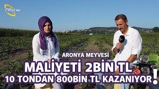 Süper Meyve Aronya! (10 Tondan 800 bin kazanıyor) - Toprak Bacı