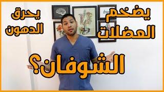 هل الشوفان يضخم العضلات ويزيد الوزن ام يحرق الدهون ويساعد على التخسيس | دكتور كريم رضوان