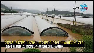 천안 병천면,수신면 비닐하우스 침수