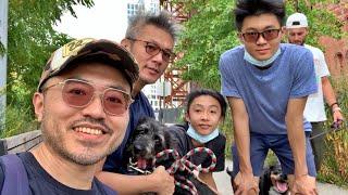 遛狗到曼哈頓｜Williamsburg Bridge｜Domino Park｜男生宿舍