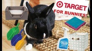 Things You Can Buy at TARGET for Rabbits!