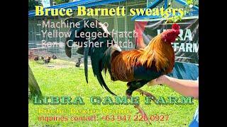 Farm Visit at Libra GF Bruce Barnett Sweaters #breeding #chicken #farming