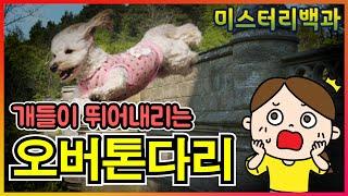 오버톤 다리(Overtoun Bridge) [미스터리백과][미확인이야기]