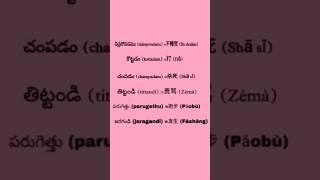 Telugu vs Chinese translation    please watch | do subscribe | for more videos  #chinese