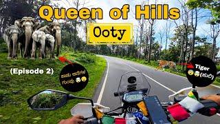 Bike Trip to Ooty| Nagarhole | Queen of Hills | Pykara Waterfalls | Kabini | Wayanad | Xpulse 