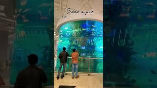 Jeddah Airport fish Aquarium  #jeddah #saudiarabia#short #youtubeshorts