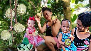 Growing string beans in our front yard | Atis Sweetsop picking around our kubo