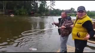 Форель в "Золотом Сазане". Вторая рыба.17/09/2016