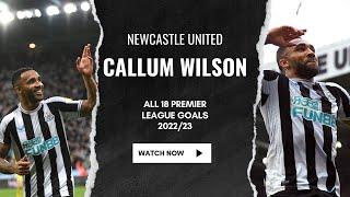 All of Callum Wilson's 18 Premier League Goals in 2022/23!