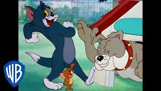 Tom y Jerry en Latino | La Diversión al Atardecer | WB Kids