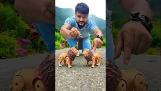 Do Sher Ek Sath | Two RC lion Testing 