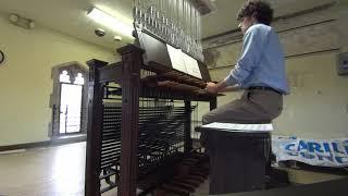 Fall Carillon Concert in Cleveland Heights, October 8, 2023