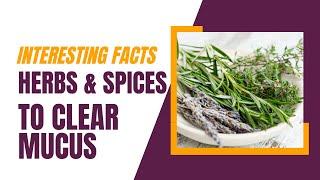 6 Herbs and Spices That Can Help Clear Mucus - A Natural Remedy to Get Rid of Congestion! #shorts