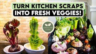 From Kitchen Scraps to Garden Gold: Regrow Vegetables at Home