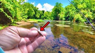 This Tiny Bait Is Simply Amazing For Panfish Fishing!