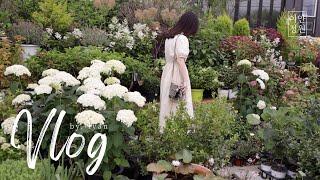 Introduction to our regular botanical store | The Green Garden Center | Wish Plants and Soil