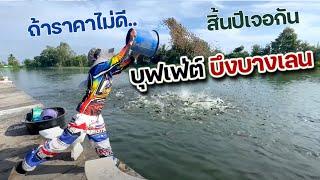 ถ้าสวายราคาถูก เอาไว้ให้ FC ตกดีกว่า | เด็กตกปลา