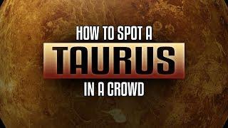 Taurus Traits - How to spot a Taurus in a crowd?