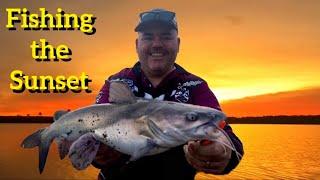 Big Catfish Fishing the Sunset Wivenhoe Dam