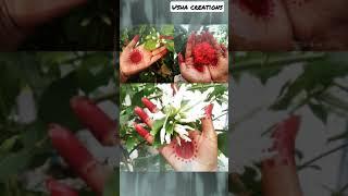 photoshoot  ideas at home with flowers || Beautiful flower Dp for WhatsApp