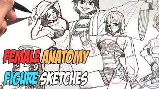 Drawing Manga/Anime Female ANATOMY - (SKETCH with Me)