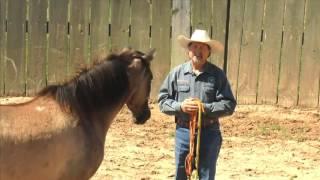 Horse Tales Bruce Anderson Life 1 #115