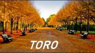 TORO...COSA CI PORTA IL MESE DI OTTOBRE