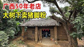 广西贵港神店，农村大树下猪脚粉，9元一碗不挂招牌隐藏村口50年【麦总去哪吃】