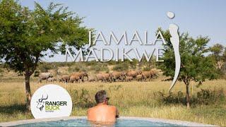 An Intimate Safari Experience - Jamala Madikwe