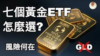 七個黃金ETF和實體黃金怎麼選？黃金ETF的風險何在｜小貝理財 EP11