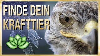 Finde dein Krafttier - geführte Schamanische Reise