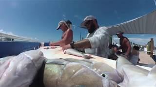 Cleaning Fish in Key West with Moses and Misha