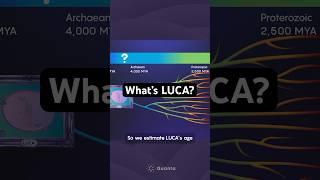 LUCA: Our Last Universal Common Ancestor #biology #science