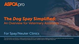 Spay/Neuter Surgery: The Dog Spay Simplified - An Overview for Veterinary Assistants