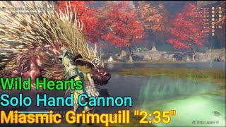 Wild hearts Hand Cannon Amazing DPS Hunt: Miasmic Grimquill "2:35" (Solo / Hand Cannon) 