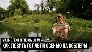 Как ловить голавля осенью на воблеры / Малые реки Черноземья. Сезон 4. Выпуск 1