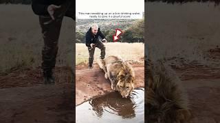 Kind man saved a lion cub who then became his best friend #shorts