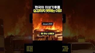한국이 이상기후를 실감하지 못하는 이유 #이슈 #뉴스 #해외반응