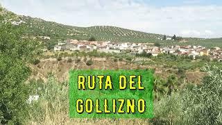 [HD] Ruta del Gollizno, Olivares, España With English subtitles (02/08/2021)