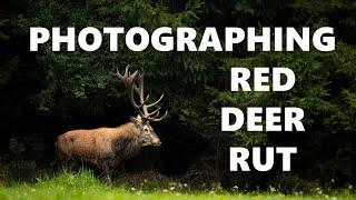 Photographing RED DEER RUT 2021 II Not Always About The Photo II VLOG